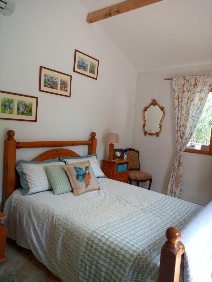 Olive View Villa Puissalicon Dış mekan fotoğraf