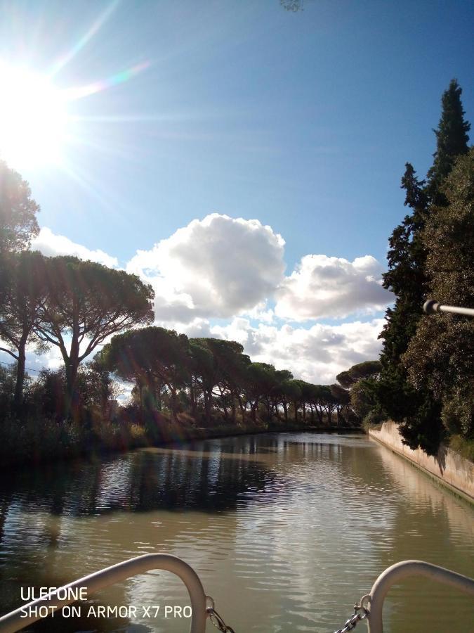 Olive View Villa Puissalicon Dış mekan fotoğraf