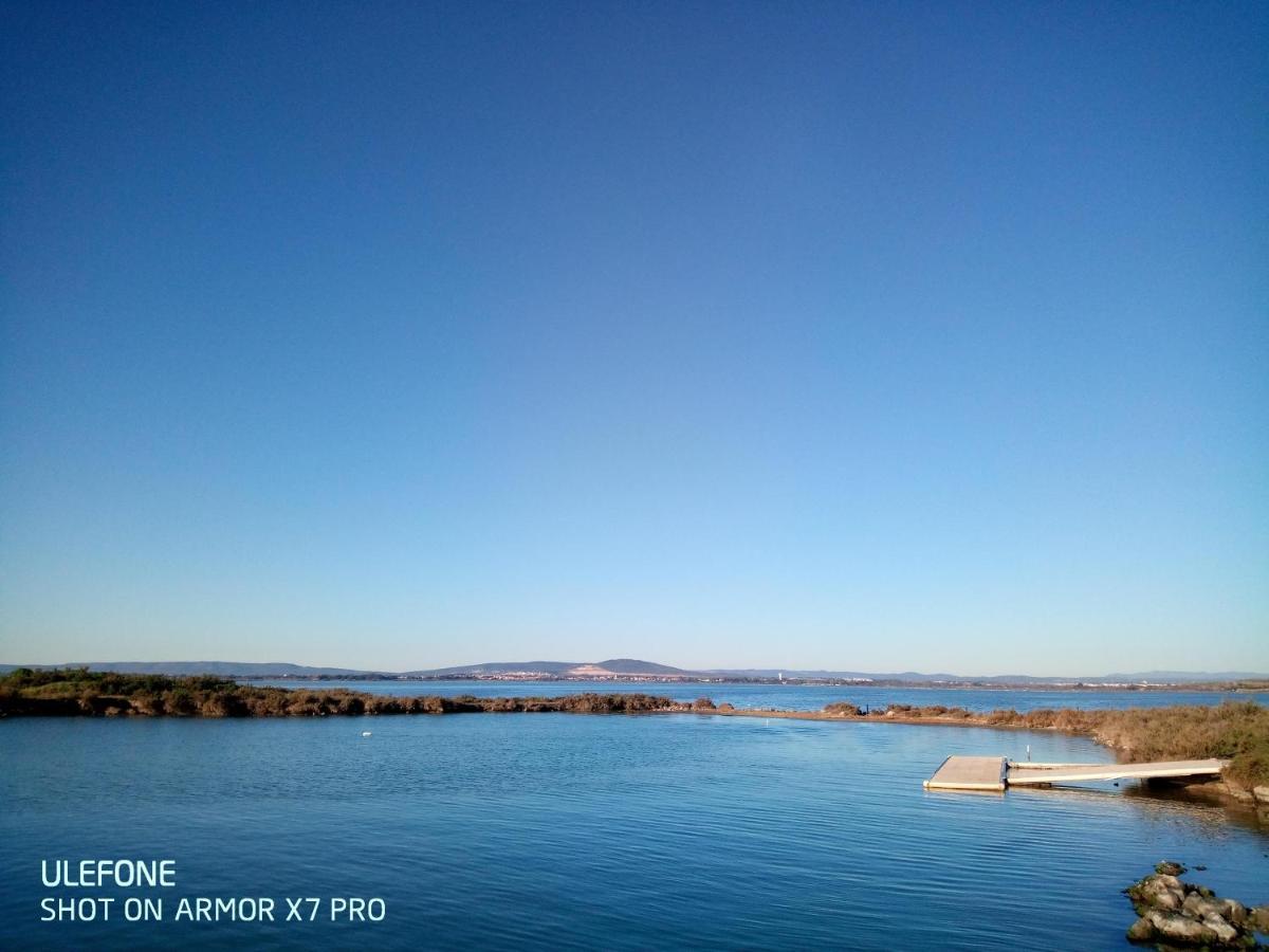 Olive View Villa Puissalicon Dış mekan fotoğraf