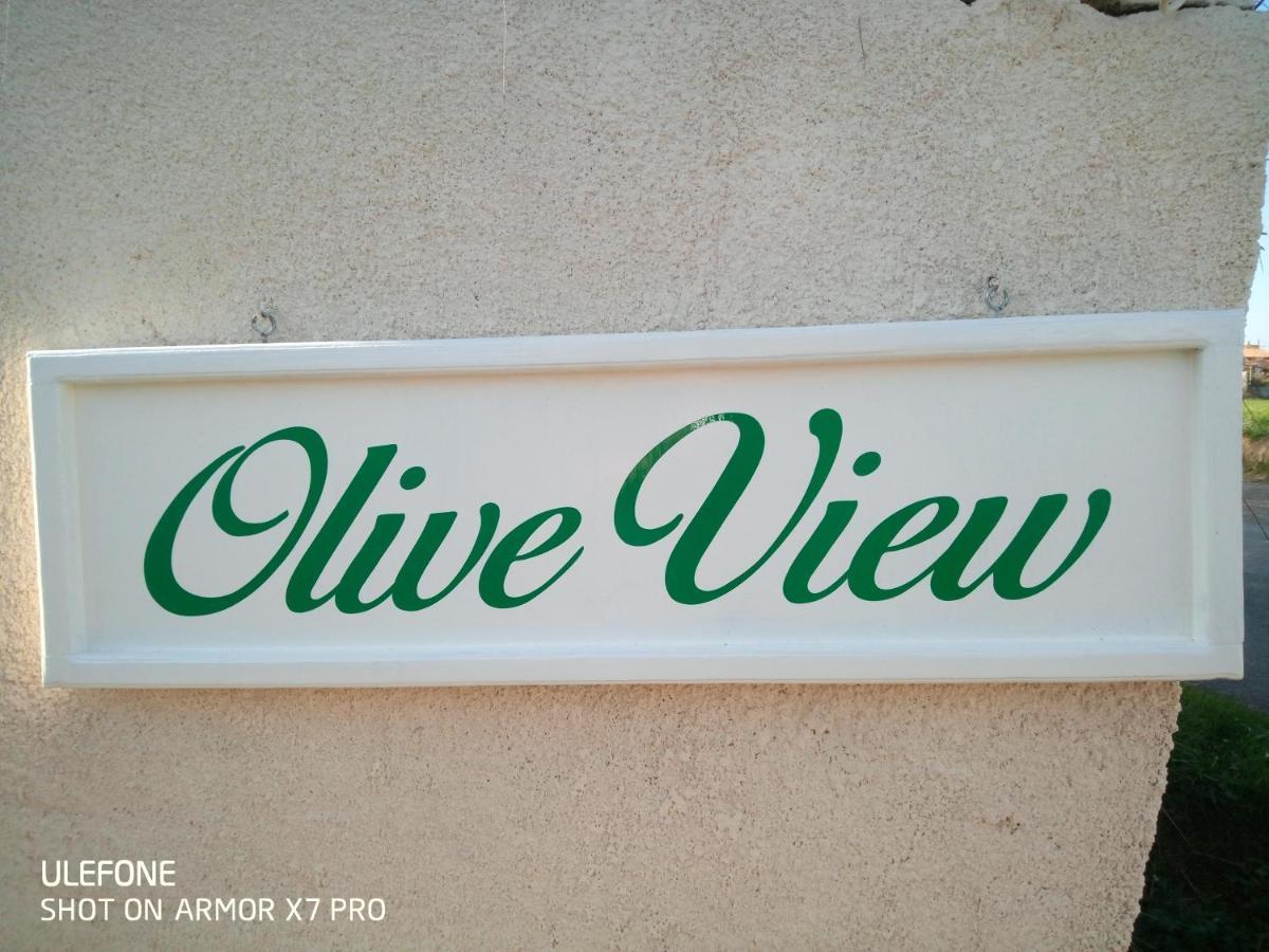 Olive View Villa Puissalicon Dış mekan fotoğraf